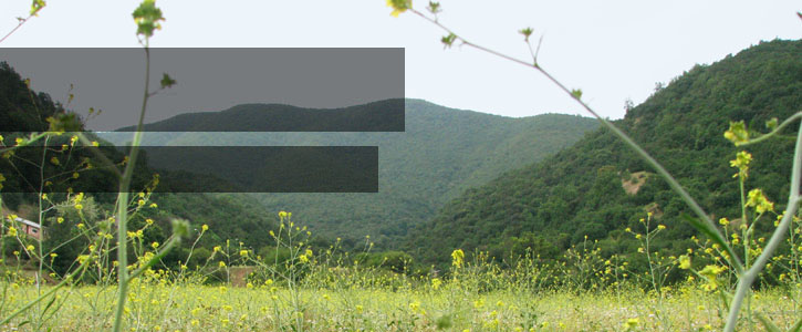 Senderos y áreas de picnic